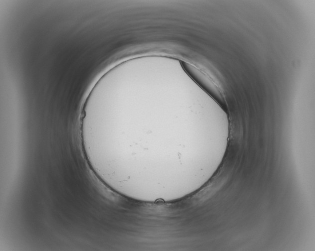 X0000112491532200909141153