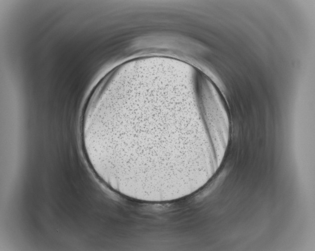 X0000112491533200909141153