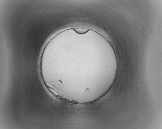 X0000112491536200909141153