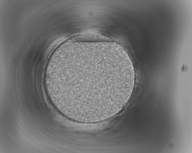 X0000112490001200909281144