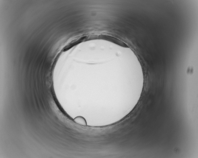 X0000112490002200909281144
