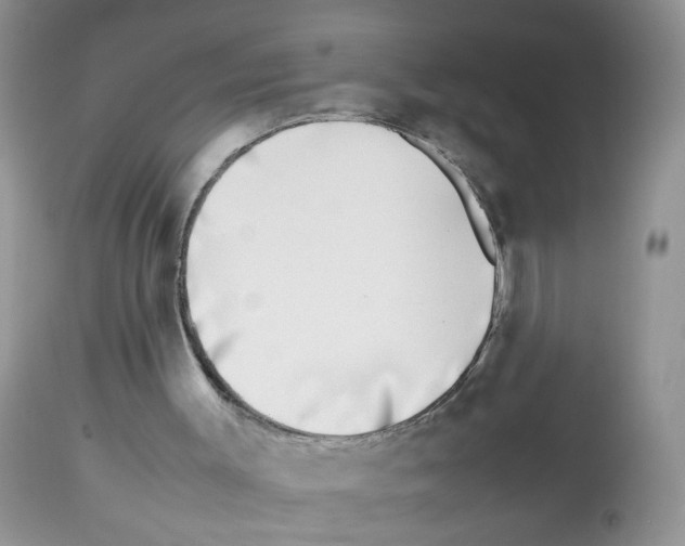 X0000112490003200909281144