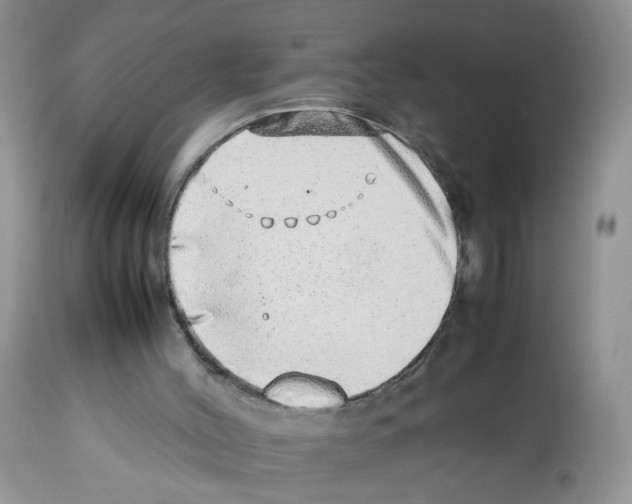 X0000112490004200909281144
