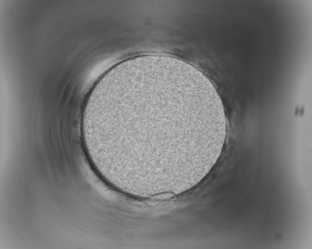 X0000112490005200909281144