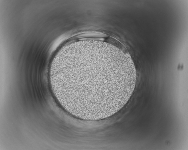 X0000112490006200909281144