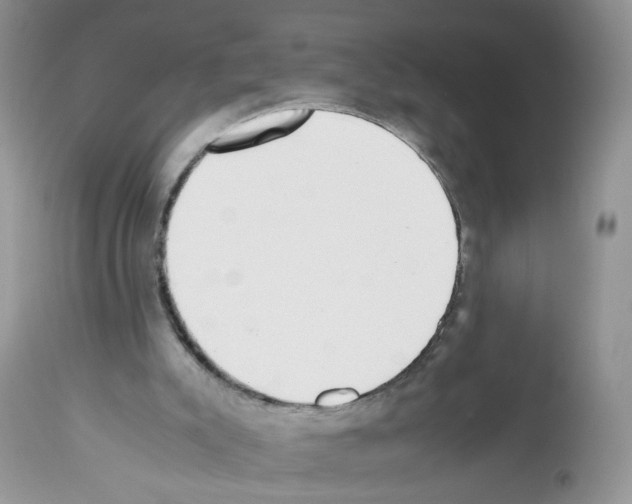 X0000112490007200909281144