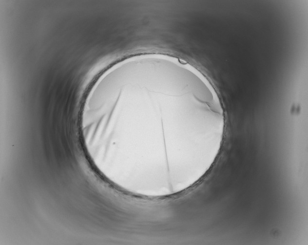 X0000112490008200909281144