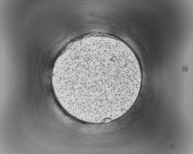 X0000112490009200909281144
