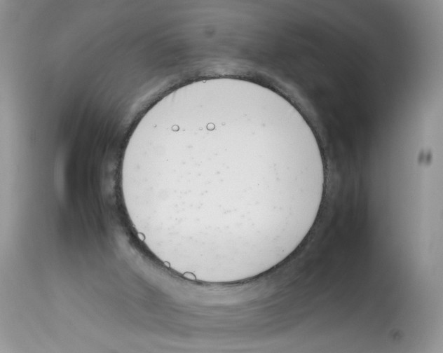 X0000112490010200909281144