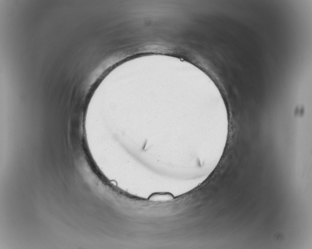 X0000112490011200909281144