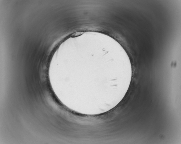 X0000112490012200909281144
