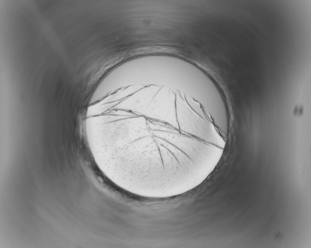X0000112490013200909281144