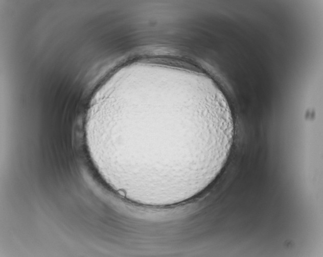 X0000112490014200909281144