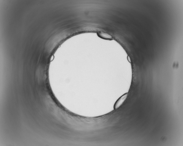 X0000112490015200909281144