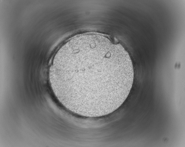X0000112490016200909281144