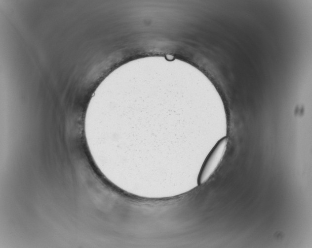 X0000112490017200909281144