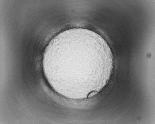 X0000112490018200909281144