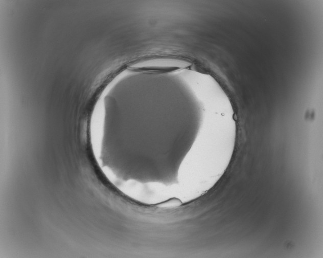 X0000112490019200909281144