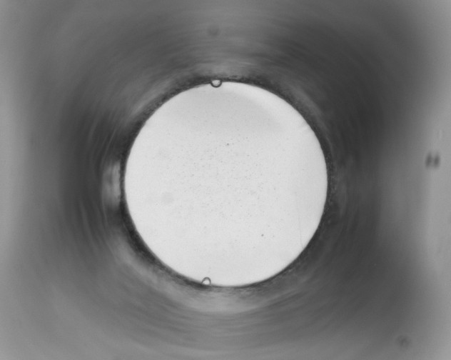 X0000112490020200909281144