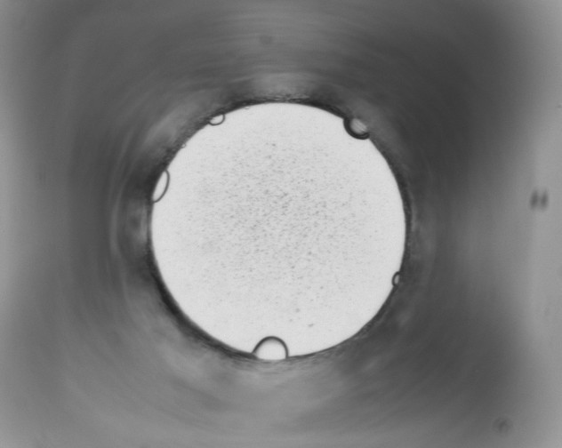 X0000112490021200909281144