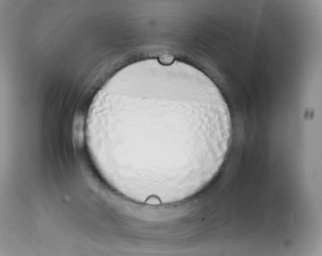 X0000112490022200909281144