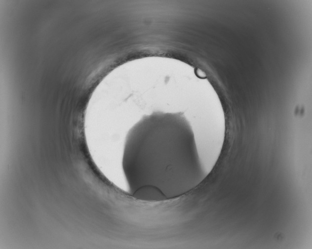 X0000112490023200909281144