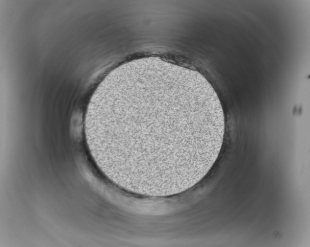 X0000112490024200909281144