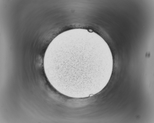 X0000112490025200909281144
