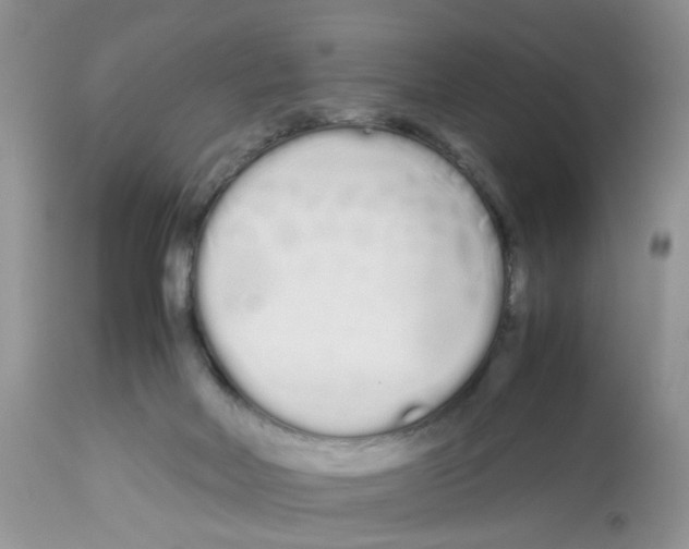 X0000112490026200909281144