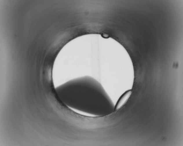 X0000112490027200909281144