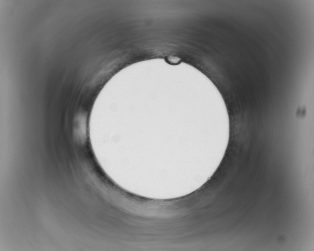 X0000112490028200909281144