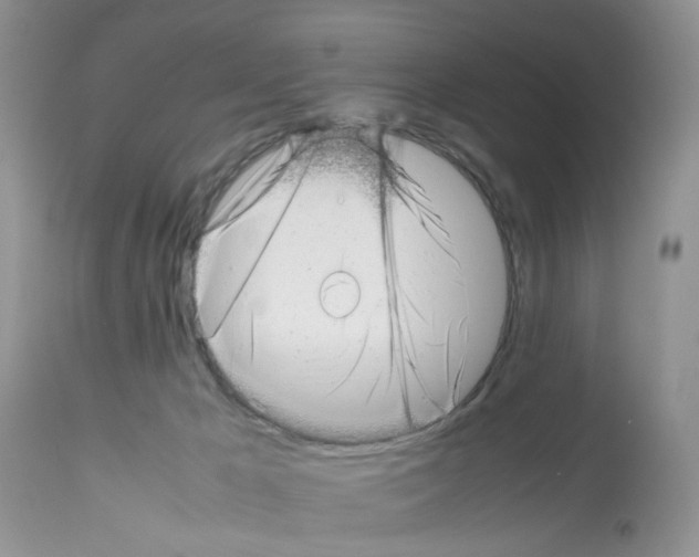 X0000112490029200909281144