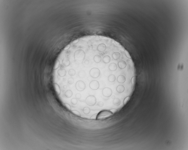 X0000112490030200909281144