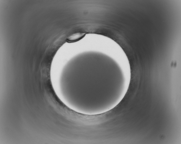 X0000112490031200909281144