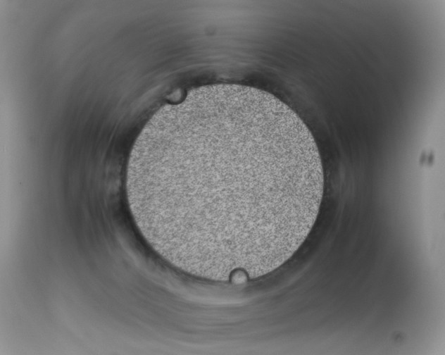 X0000112490032200909281144