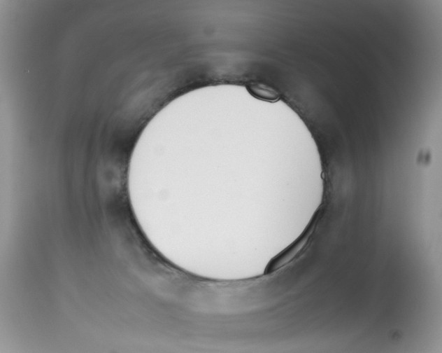 X0000112490033200909281144