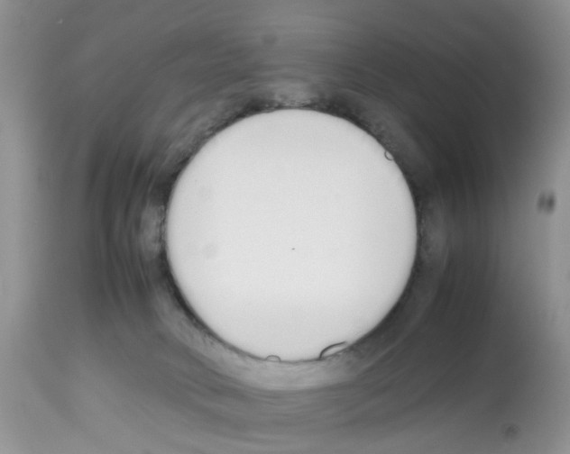 X0000112490034200909281144