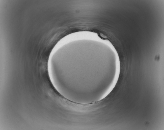 X0000112490035200909281144