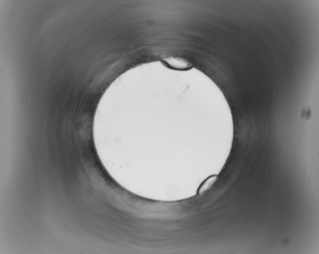 X0000112490036200909281144