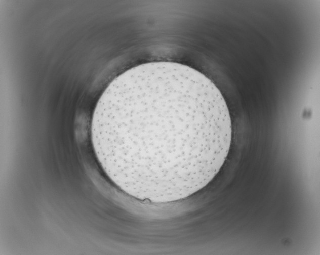 X0000112490038200909281144
