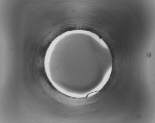 X0000112490039200909281144
