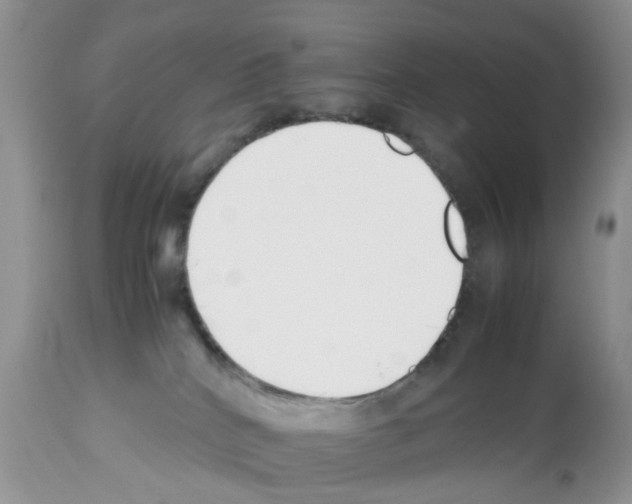 X0000112490040200909281144