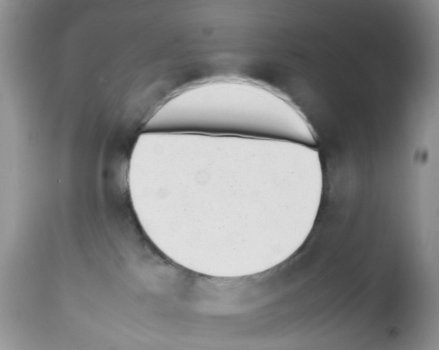 X0000112490041200909281144