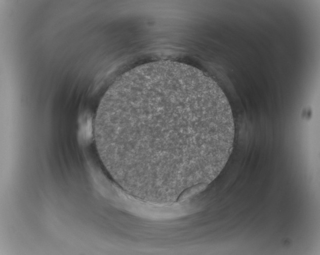 X0000112490042200909281144