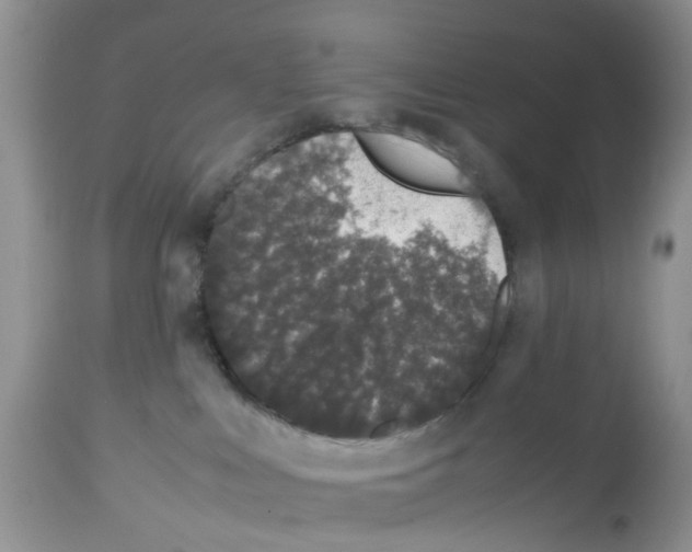 X0000112490043200909281144