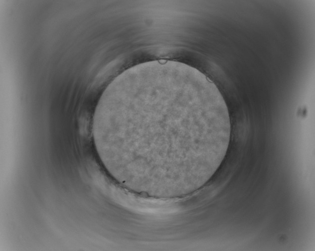 X0000112490044200909281144