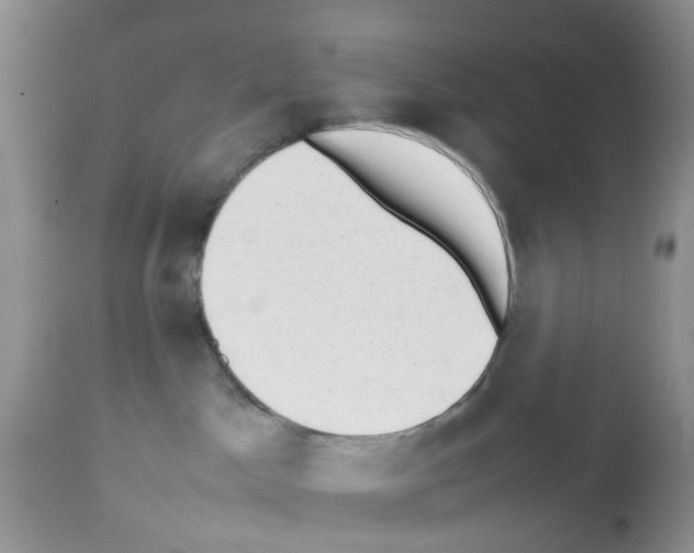 X0000112490045200909281144