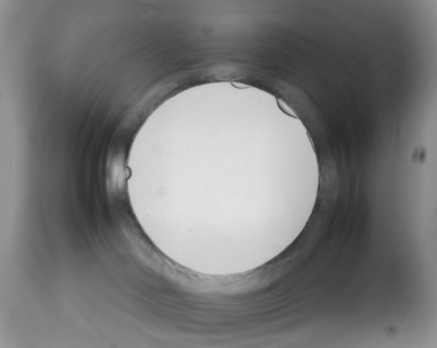 X0000112490046200909281144