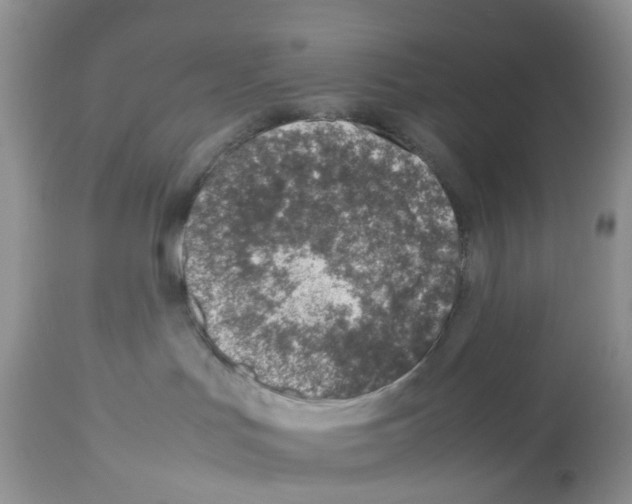 X0000112490047200909281144
