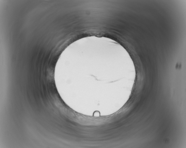 X0000112490048200909281144